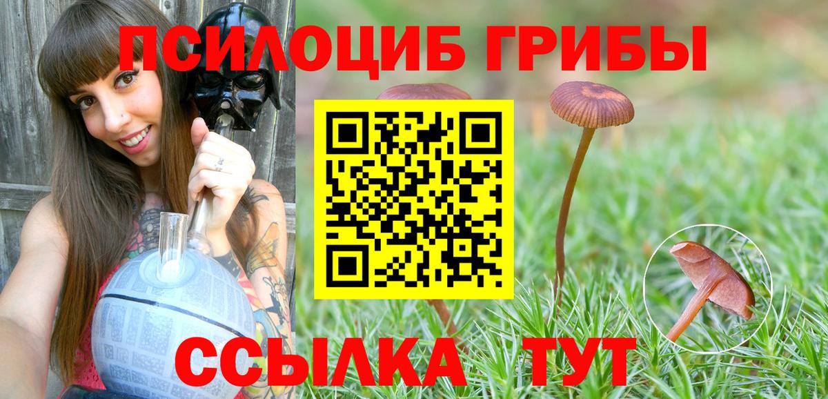 Псилоцибиновые грибы мицелий  хочу   Псилоцибиновые грибы Magic Shrooms  Донецк  Вход с VPN 