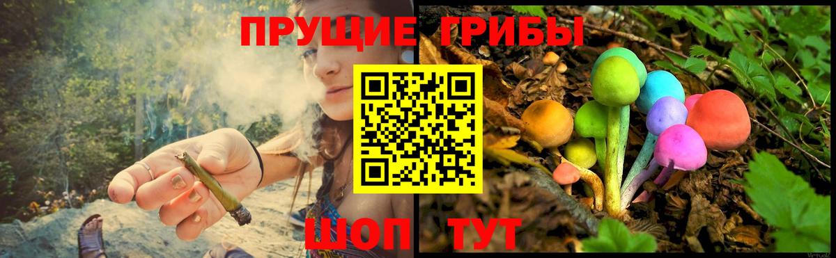 Псилоцибиновые грибы мицелий Донецк